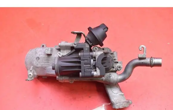 Citroen C3 EGR valve 50563908