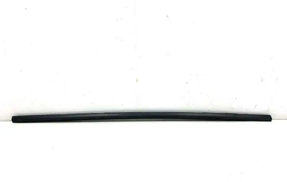 Honda Civic Front door trim (molding)