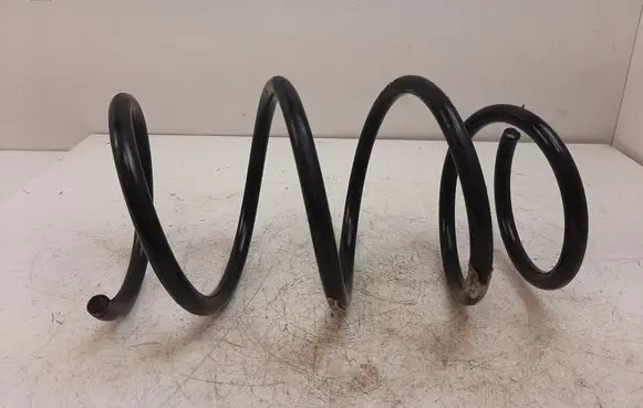 Front coil spring