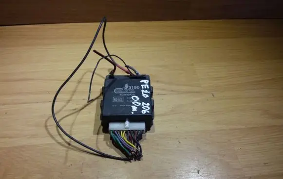 Peugeot 206 Other control units/modules 4C3190A2A