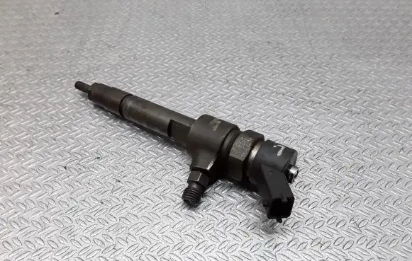 Fiat Punto (188) Fuel injector 0445110019
