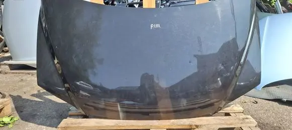 Fiat Multipla Engine bonnet/hood