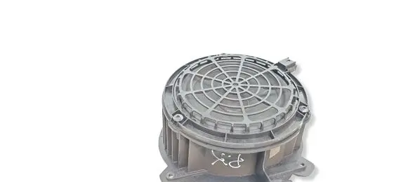 Peugeot 2008 II Front door speaker 9818747880
