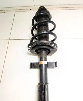 Renault Zoe Front shock absorber with coil spring 543028406R 03031000183