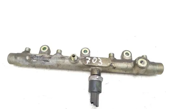 Citroen Xsara Picasso Fuel main line pipe 0445214019 0281002283