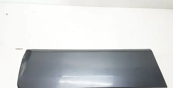 Front door trim (molding)