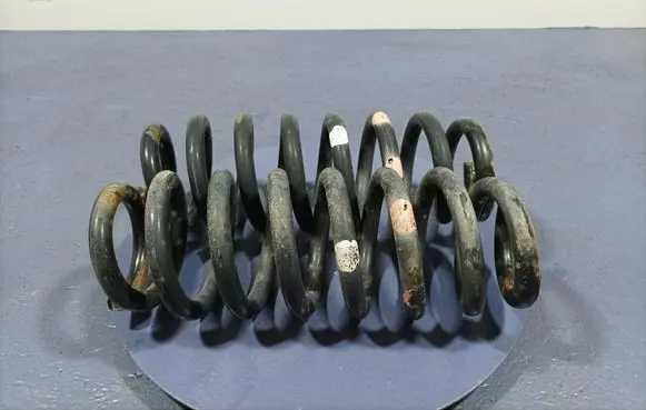 Rear coil spring