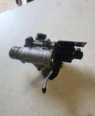 Renault Megane II EGR valve 255366