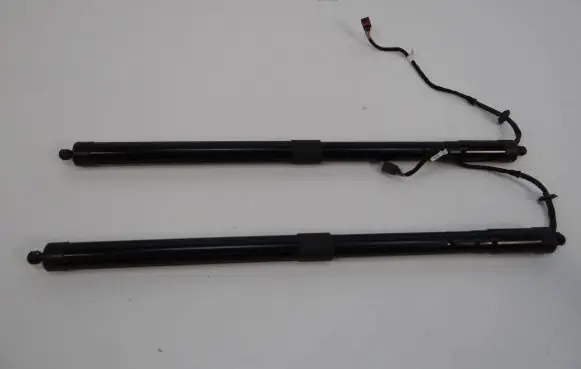 Tailgate strut