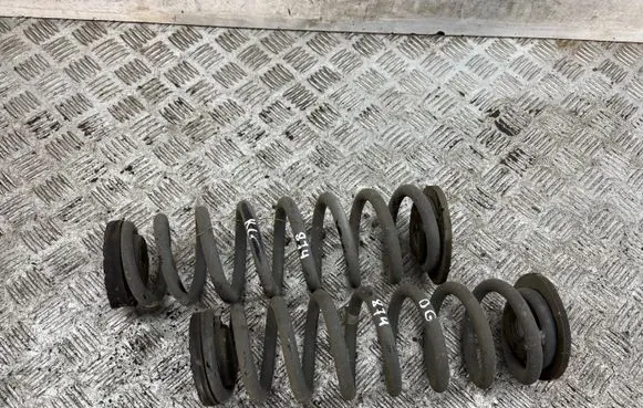 Rear coil spring