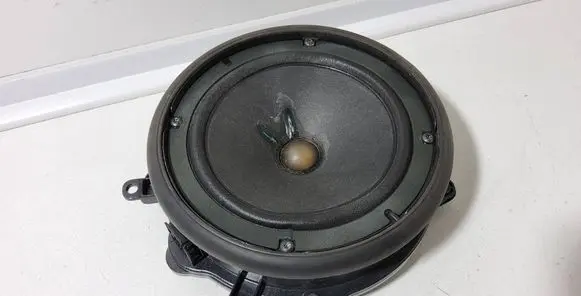 Rear door speaker