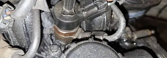 Citroen C4 I Picasso Fuel injector 0445110259