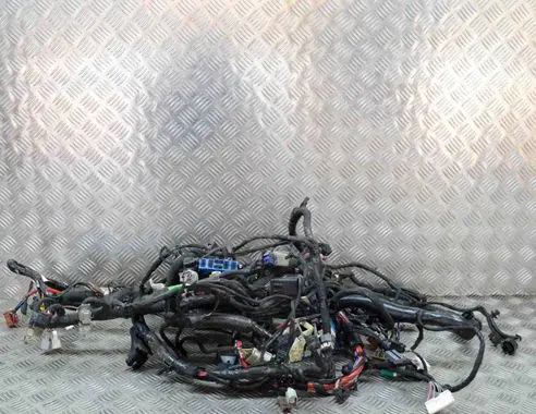 Tesla Model S Other wiring loom 102664606K