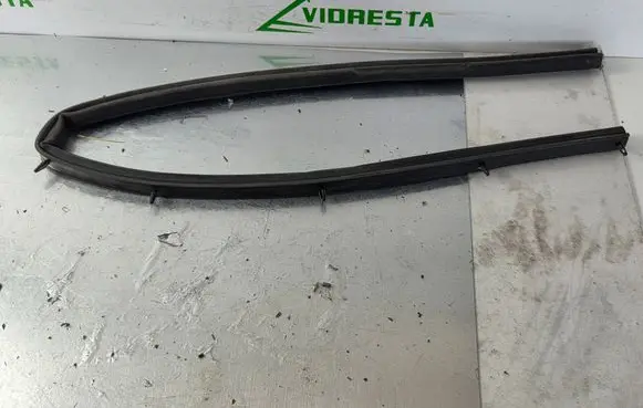 Opel Antara Engine compartment rubber 120912
