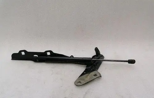 Dodge RAM 1500 DS Engine bonnet/hood hinges 806AB356062