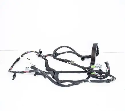 Tesla Model X Other wiring loom