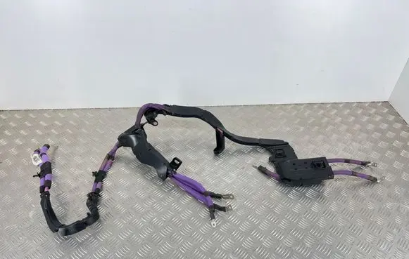 Peugeot 3008 III High voltage cable 9848020080