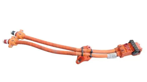 Tesla Model X Other wiring loom 147118100C