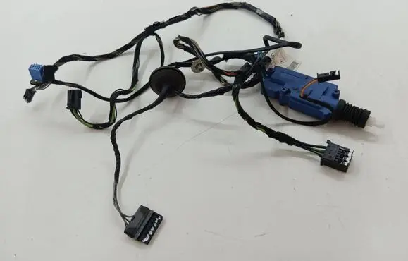 Mercedes-Benz B W245 Front door wiring loom A1695407805