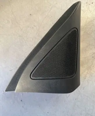 Front door speaker