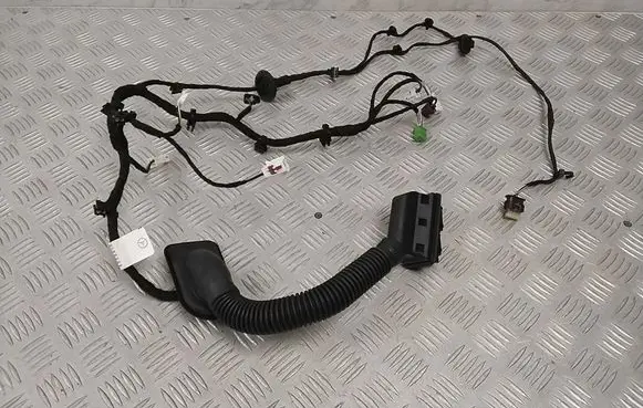 Other wiring loom