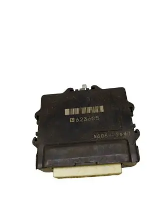 Subaru Outback (BS) Fuel injection pump control unit/module 623605