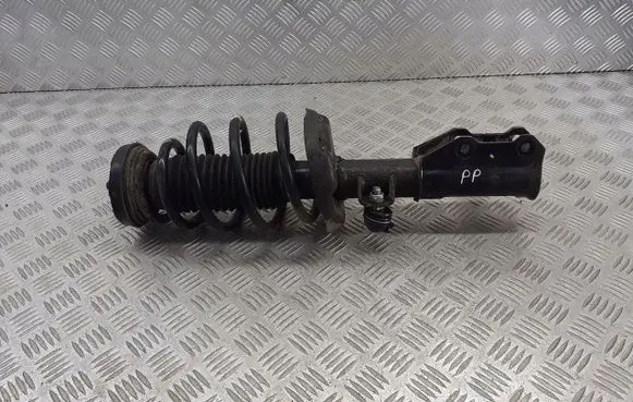 Opel Insignia A Front shock absorber/damper
