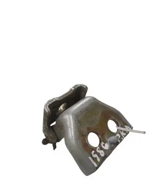 Peugeot 307 Front door lower hinge 