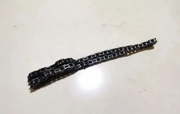 Ford Focus Timing chain (engine) 
