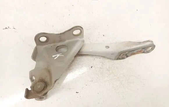 Toyota RAV 4 (XA30) Engine bonnet/hood hinges 