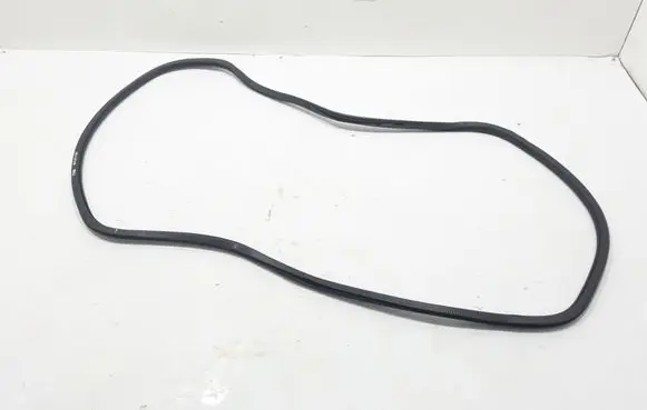 Chrysler Pacifica Rubber seal sliding door (on door) 68313522AB