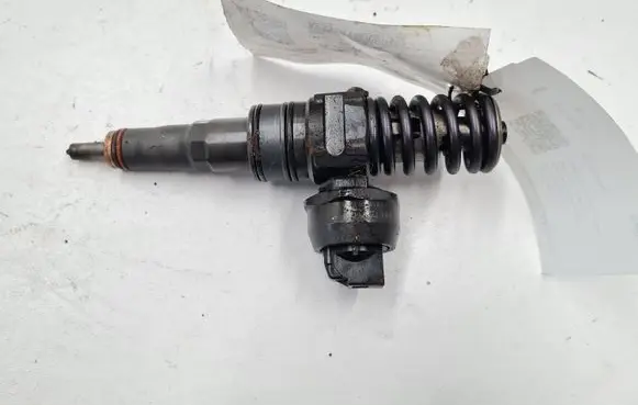 Volkswagen Golf Plus Fuel injector 038130073BN
