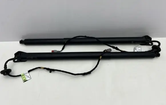 Tailgate strut