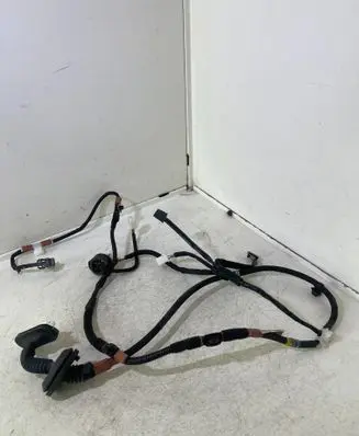 Lexus NX Rear door wiring loom 8215378