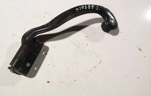 Rear door lower hinge
