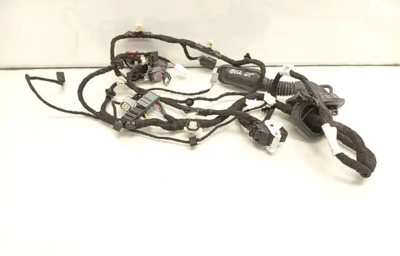 Front door wiring loom