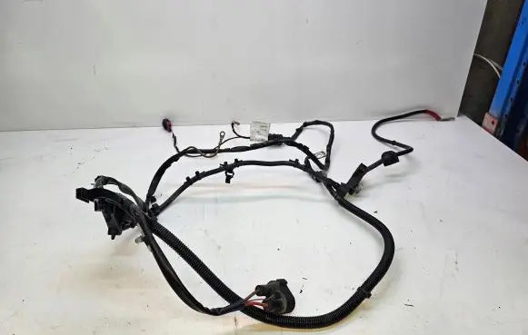 Audi A6 S6 C6 4F Other wiring loom 4F1971284K