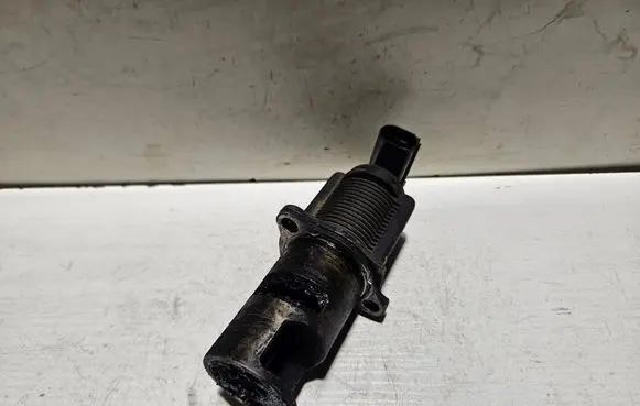 EGR valve