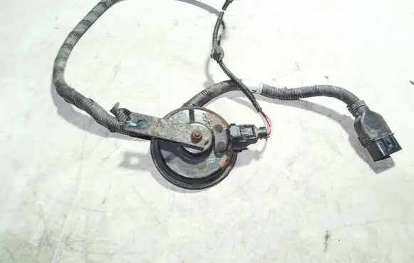 Hyundai Santa Fe Horn signal 28R000033