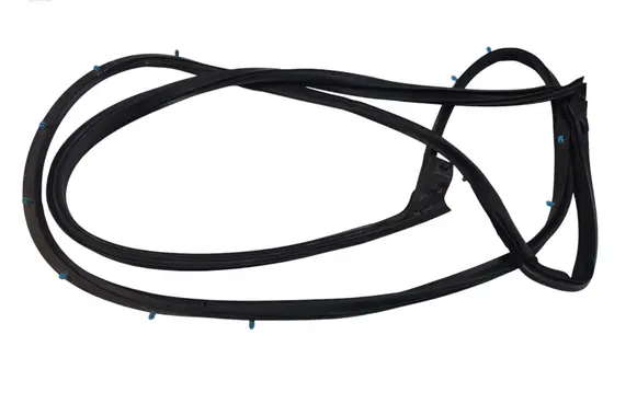 Dodge Charger Rubber seal front door (on door) 68067556 43791F