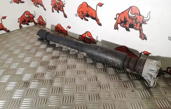 BMW X2 F39 Rear shock absorber/damper 6861670 149415 6791706