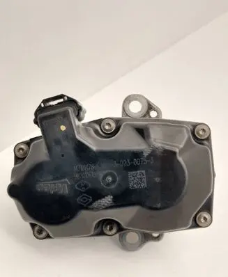 Renault Trafic III (X82) EGR valve 147101478R 302300753 H8201061904