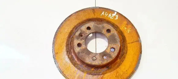 Rear brake disc