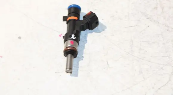Dacia Sandero II Fuel injector 166004787R 0280158366