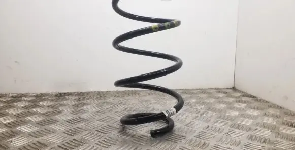 Volkswagen Tiguan Front coil spring