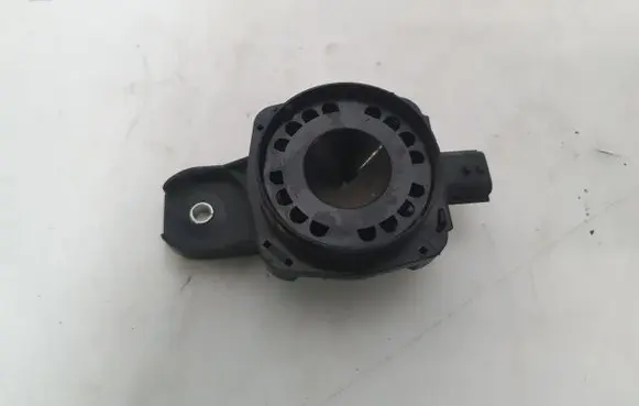 Renault Megane IV Alarm system siren 256400001R