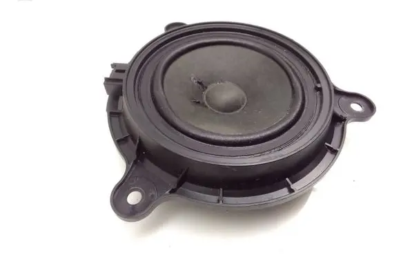 Rear door speaker