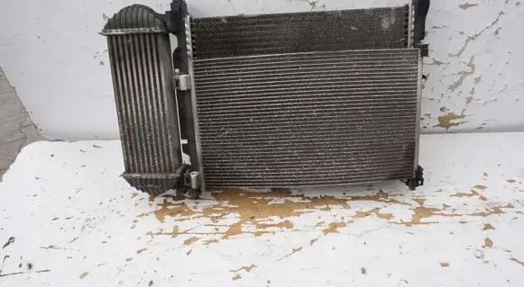 Renault Kangoo II Engine