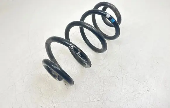 Nissan Qashqai Rear coil spring