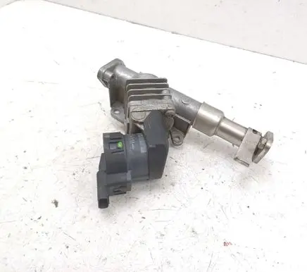 EGR valve